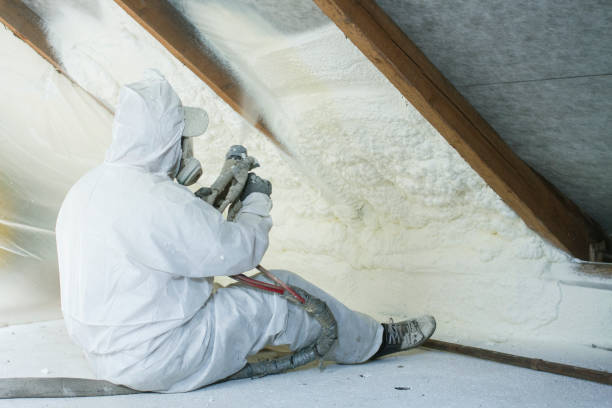 Best Insulation for Existing Homes  in New Athens, IL